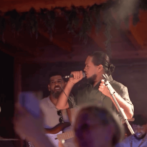 flamenco noches en el palmar conciertos noche cadiz natura playa