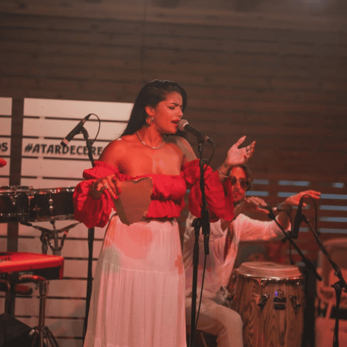 conciertos noche en el palmar cadiz natura playa