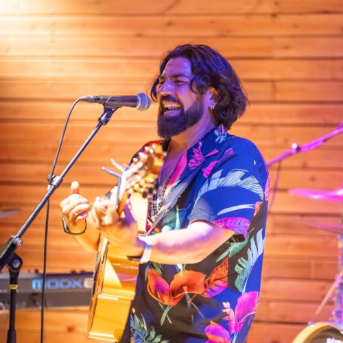 conciertos en el palmar